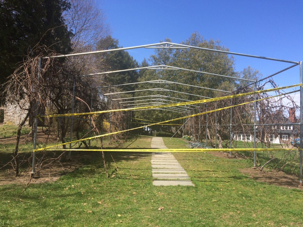 Tarrywile Park Grape Arbor Destruction